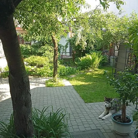 Family Dorobok Lviv