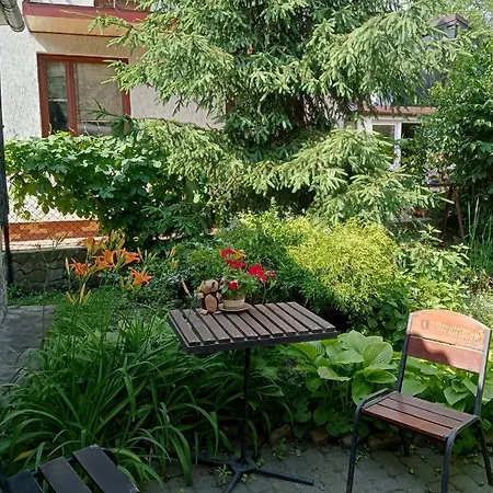 Family Dorobok Leópolis