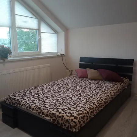 Family Dorobok Pensión