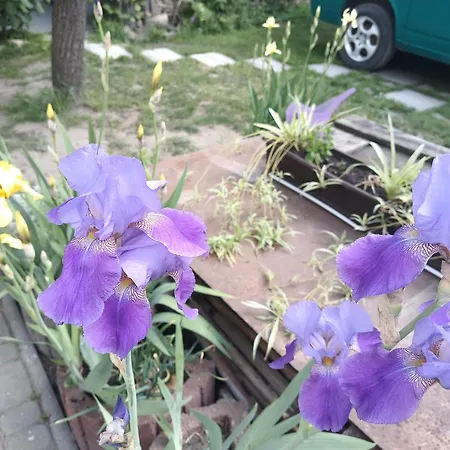 Family Dorobok Guest house Lviv