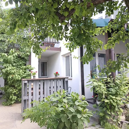 Family Dorobok Lemberg