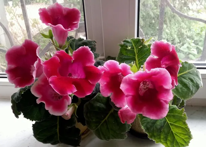 Family Dorobok Gasthof *