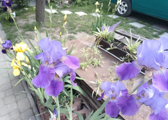 Family Dorobok Maison d'hôtes Lviv