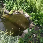 Guest house Family Dorobok Lviv