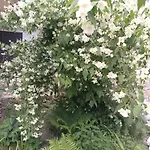 Guest house Family Dorobok Lviv