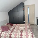 Guest house Family Dorobok