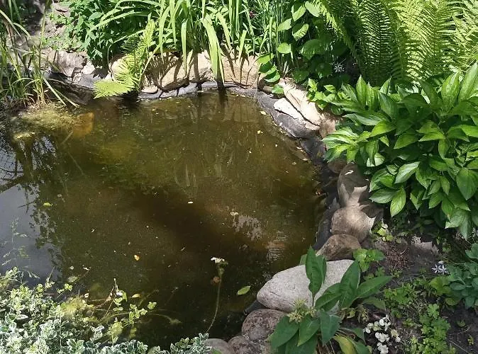 Гостевой дом Family Dorobok Львов