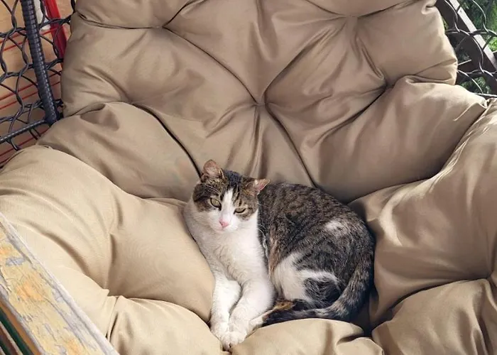 Гостевой дом Family Dorobok Львов